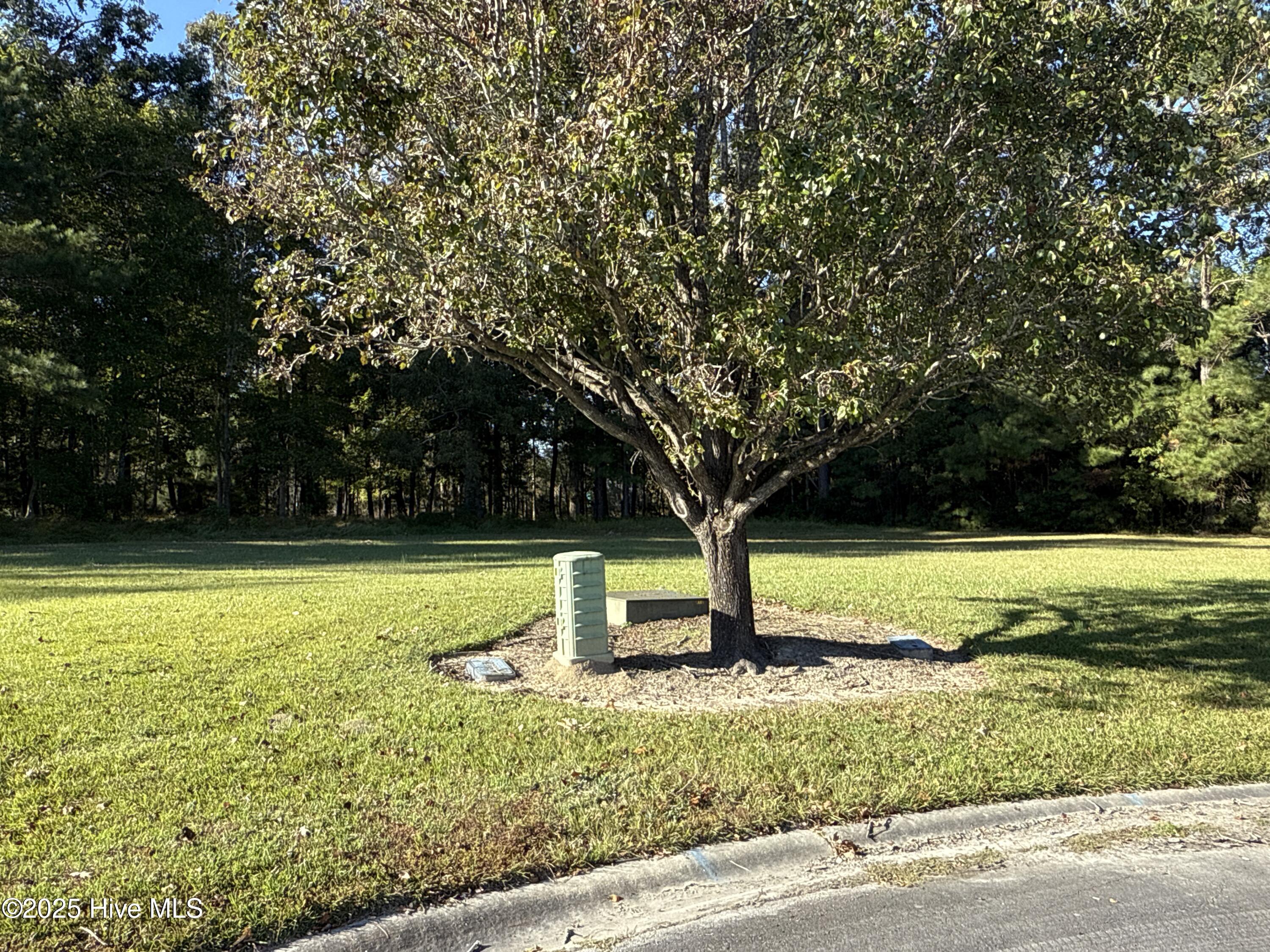 338 Southern Way Arapahoe, NC 28510 - Photo 11 of 31 IMG_6949 2