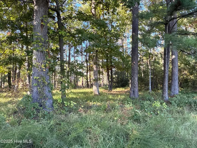 $42,000 | 338 Southern Way, Arapahoe, NC 28510