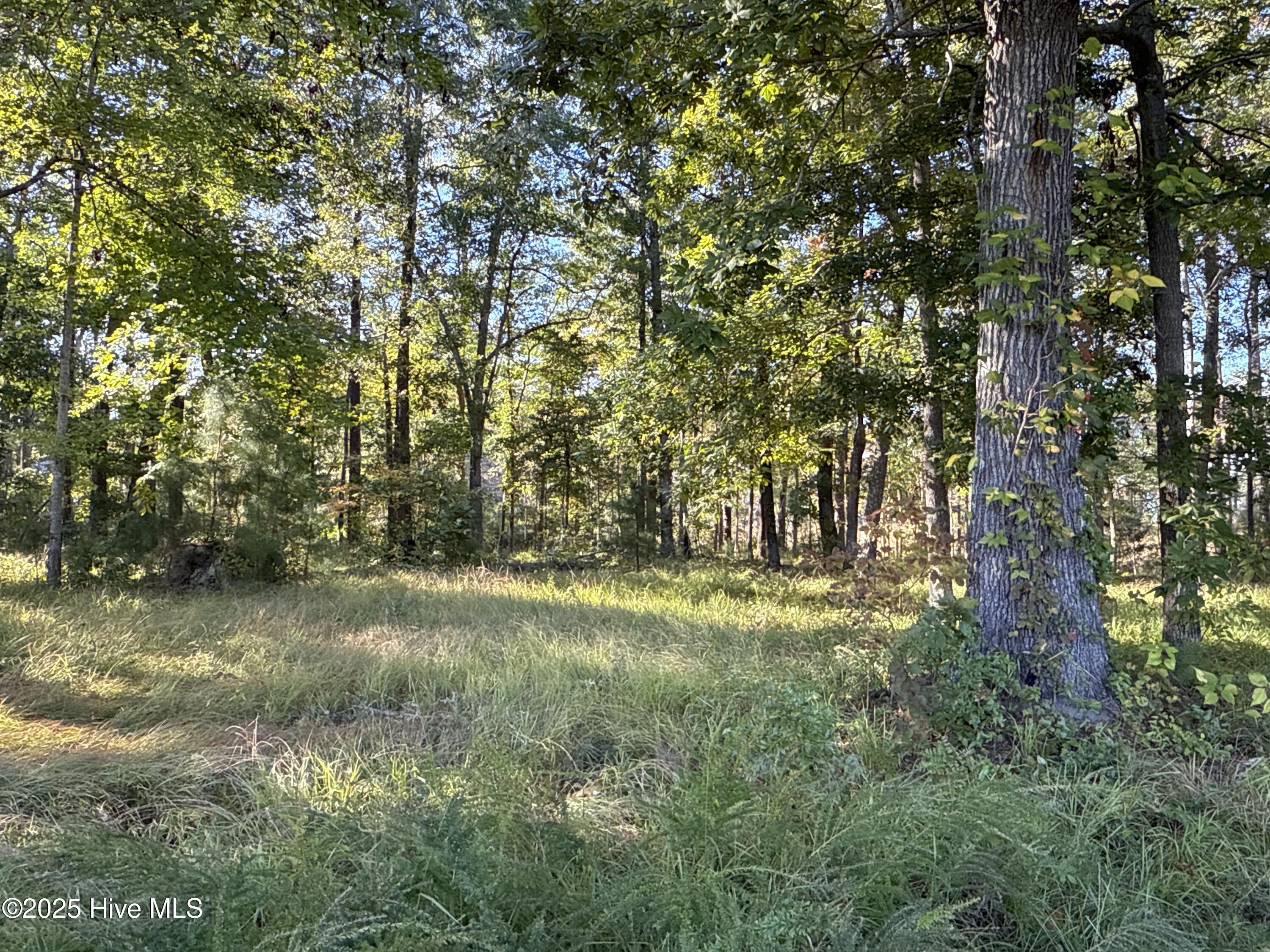 338 Southern Way Arapahoe, NC 28510 - Photo 14 of 31 IMG_6943 2