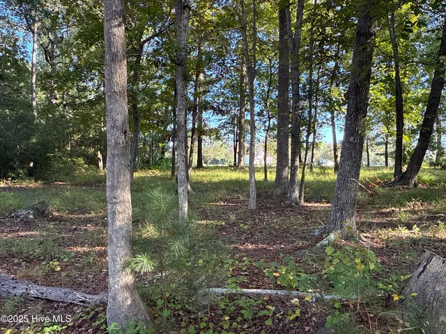 $42,000 | 338 Southern Way, Arapahoe, NC 28510