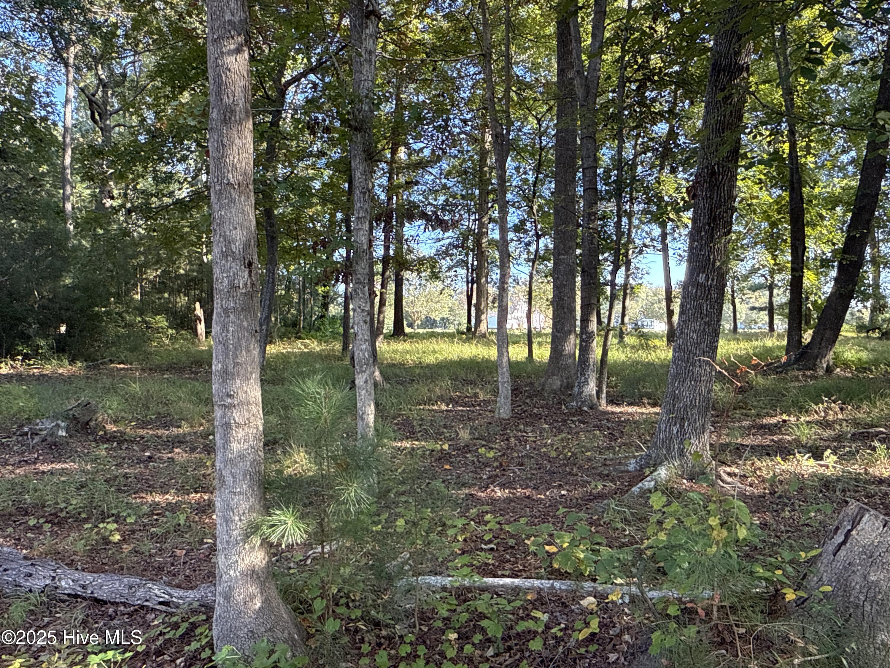 338 Southern Way Arapahoe, NC 28510 - Photo 15 of 31 IMG_6944 2