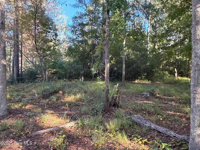 $42,000 | 338 Southern Way, Arapahoe, NC 28510