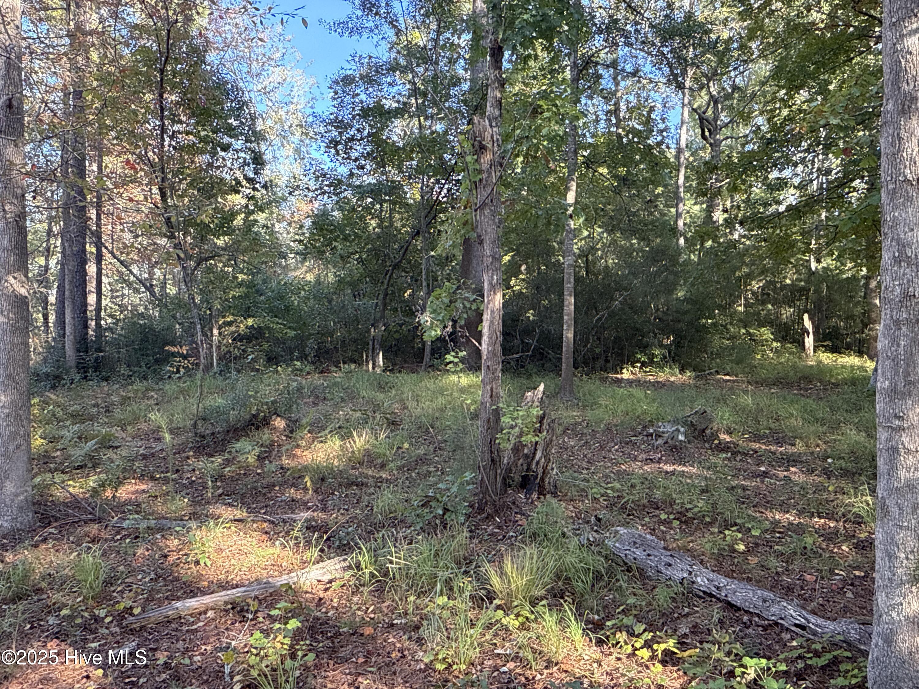 338 Southern Way Arapahoe, NC 28510 - Photo 16 of 31 IMG_6945 2