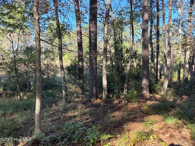 $42,000 | 338 Southern Way, Arapahoe, NC 28510