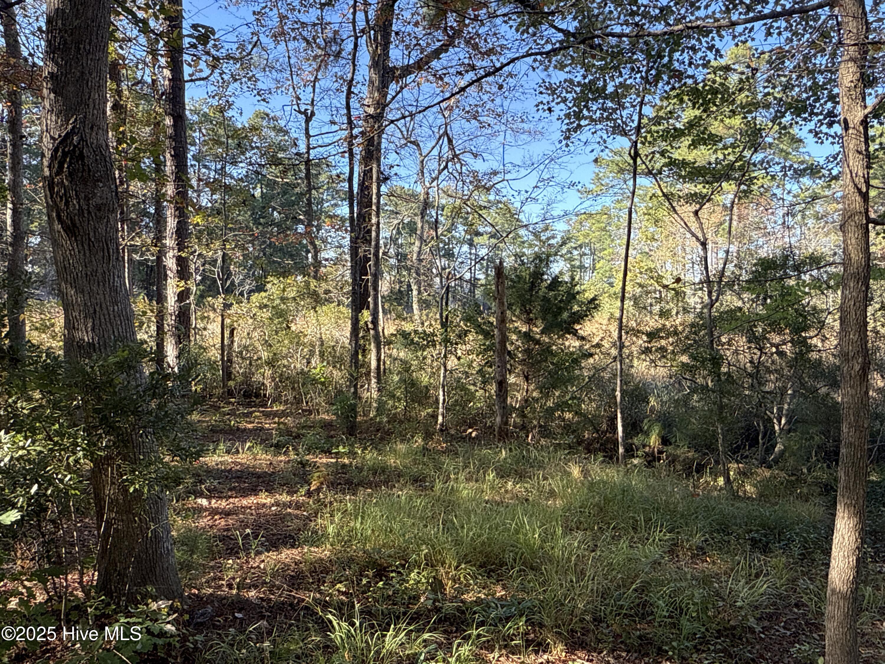 338 Southern Way Arapahoe, NC 28510 - Photo 18 of 31 IMG_6947 2