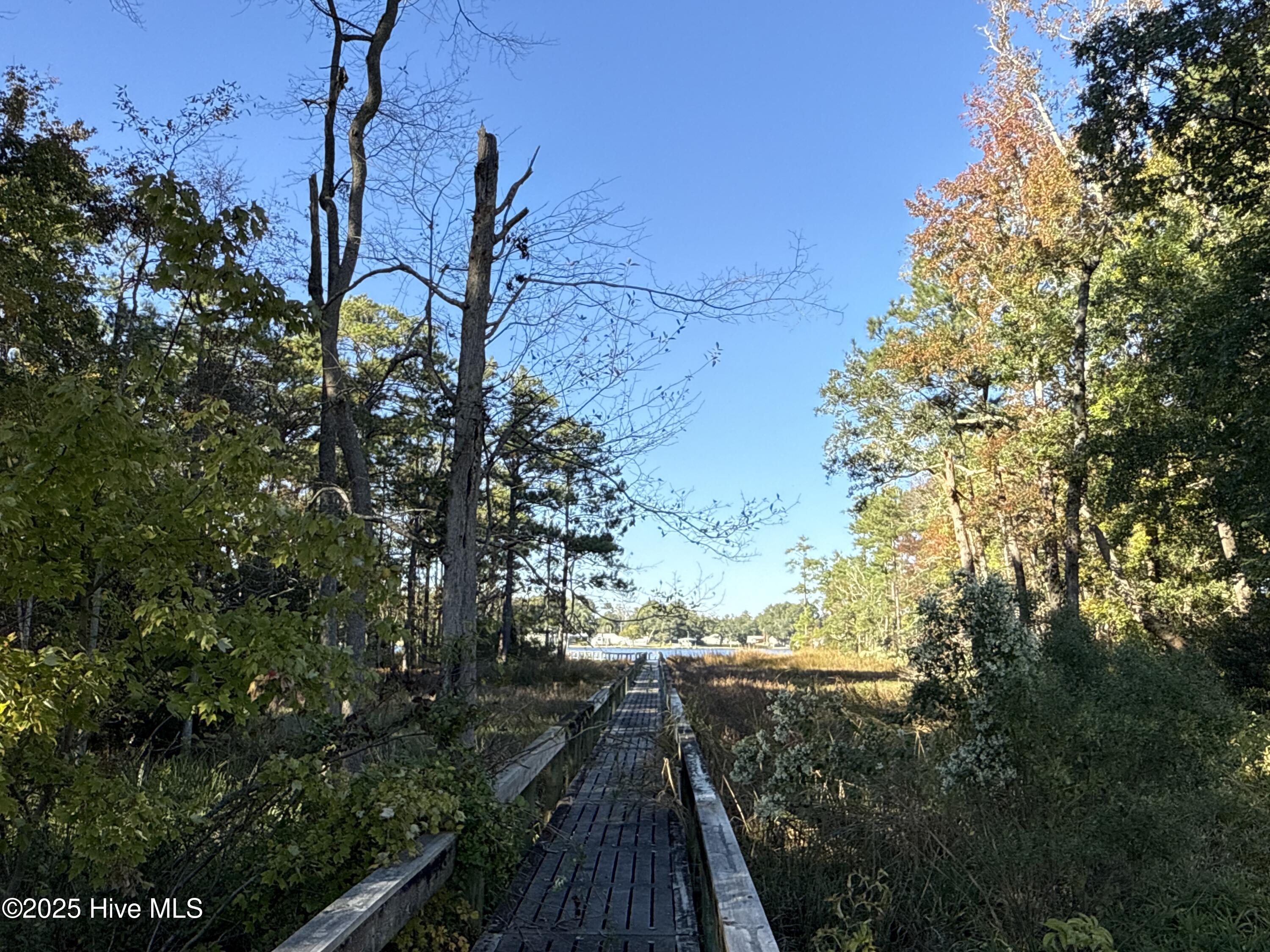 338 Southern Way Arapahoe, NC 28510 - Photo 19 of 31 IMG_6951 2