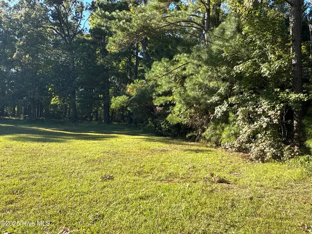 $42,000 | 338 Southern Way, Arapahoe, NC 28510