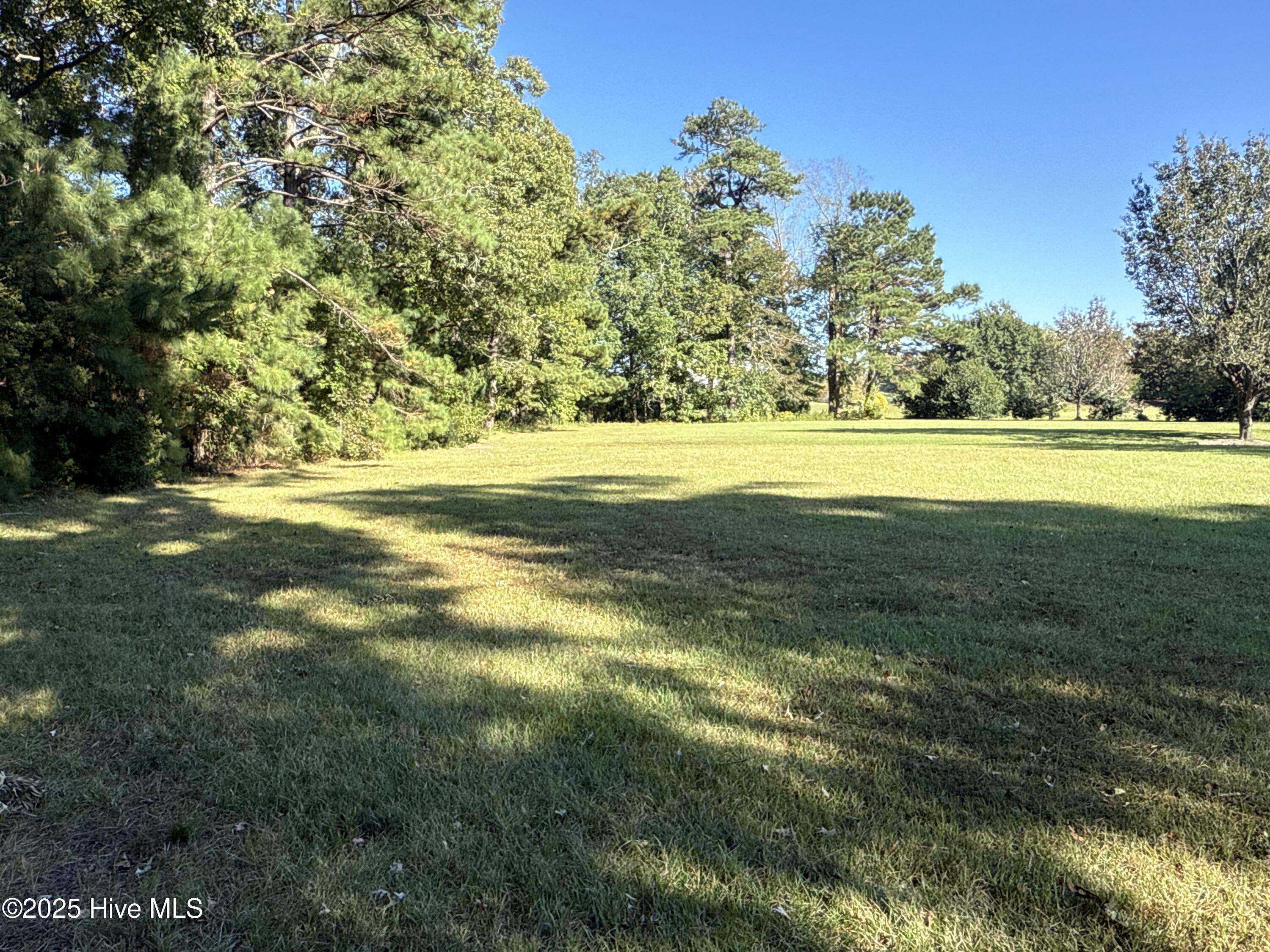 338 Southern Way Arapahoe, NC 28510 - Photo 9 of 31 IMG_6941 2