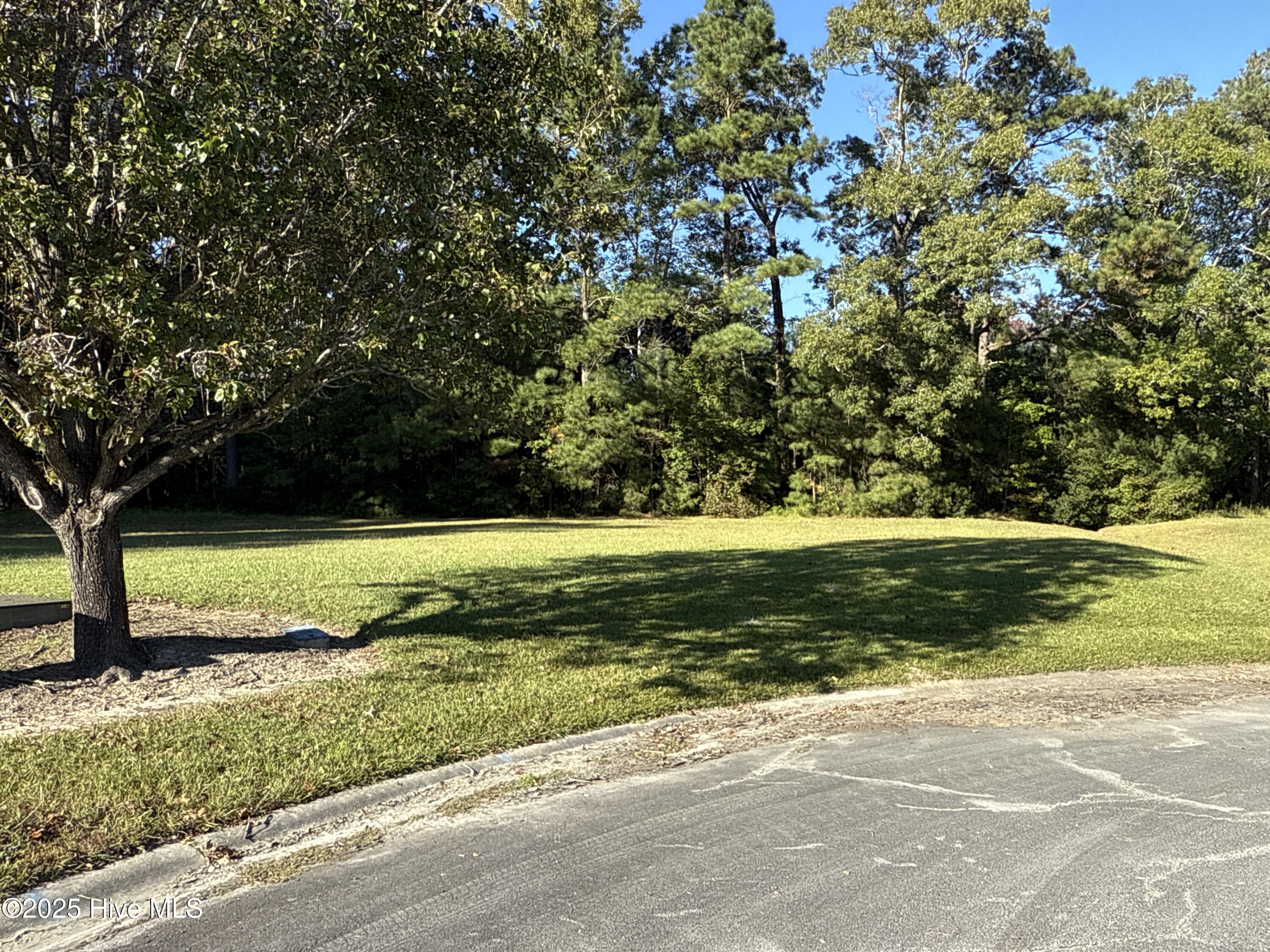 338 Southern Way Arapahoe, NC 28510 - Photo 10 of 31 IMG_6948 2