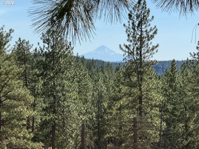 625 Saxton Road Goldendale, WA 98620 - Photo 40 of 43 Gallery Image 40