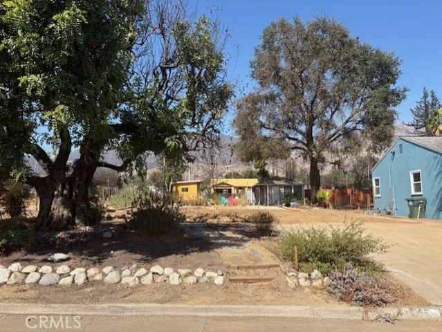 a street view with large trees