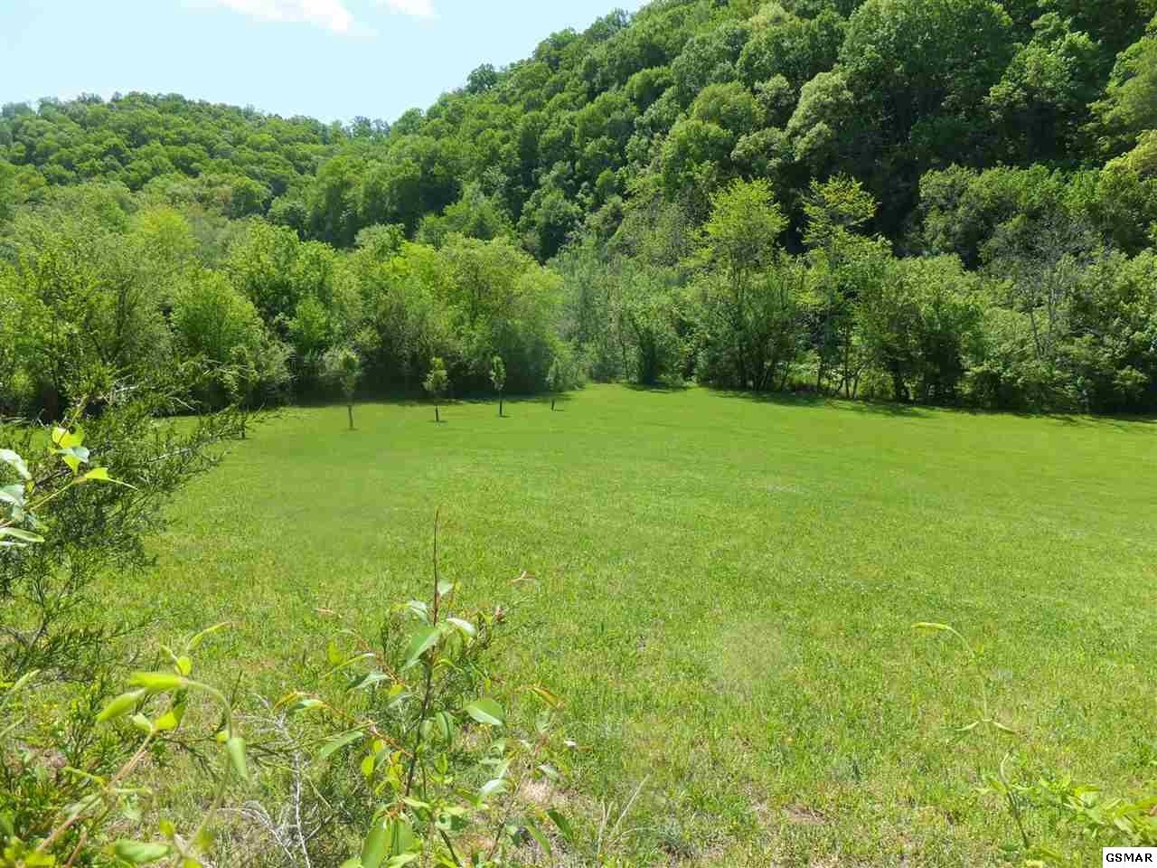 889 Marshall Hollow Road Bybee, TN 37713 - Photo 17 of 24 Gallery Image 17