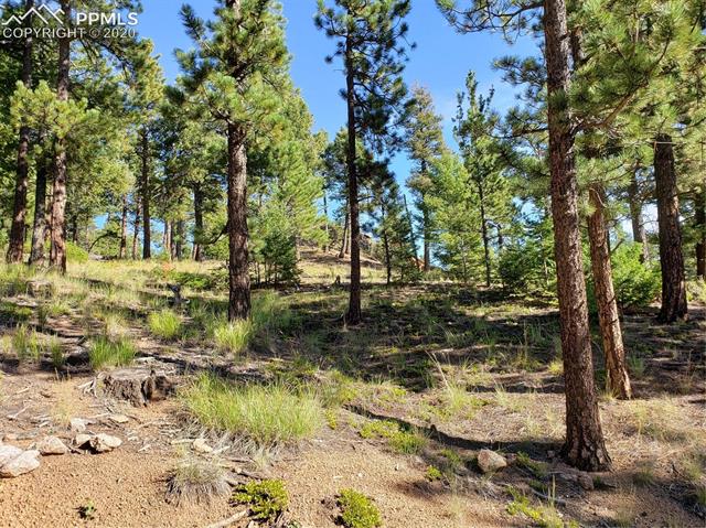 341 Waterfall Road Manitou Springs, CO 80829 - Photo 3 of 4 Gallery Image 3