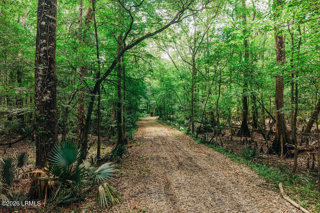 0 Parnel Road Cope, SC 29038 - Photo 12 of 13 DJI_20260511111737_0104_D