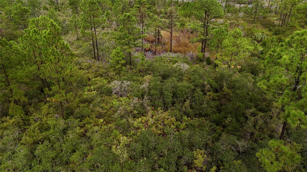 8-9 Adams Beach Road Perry, FL 32348 - Photo 8 of 27