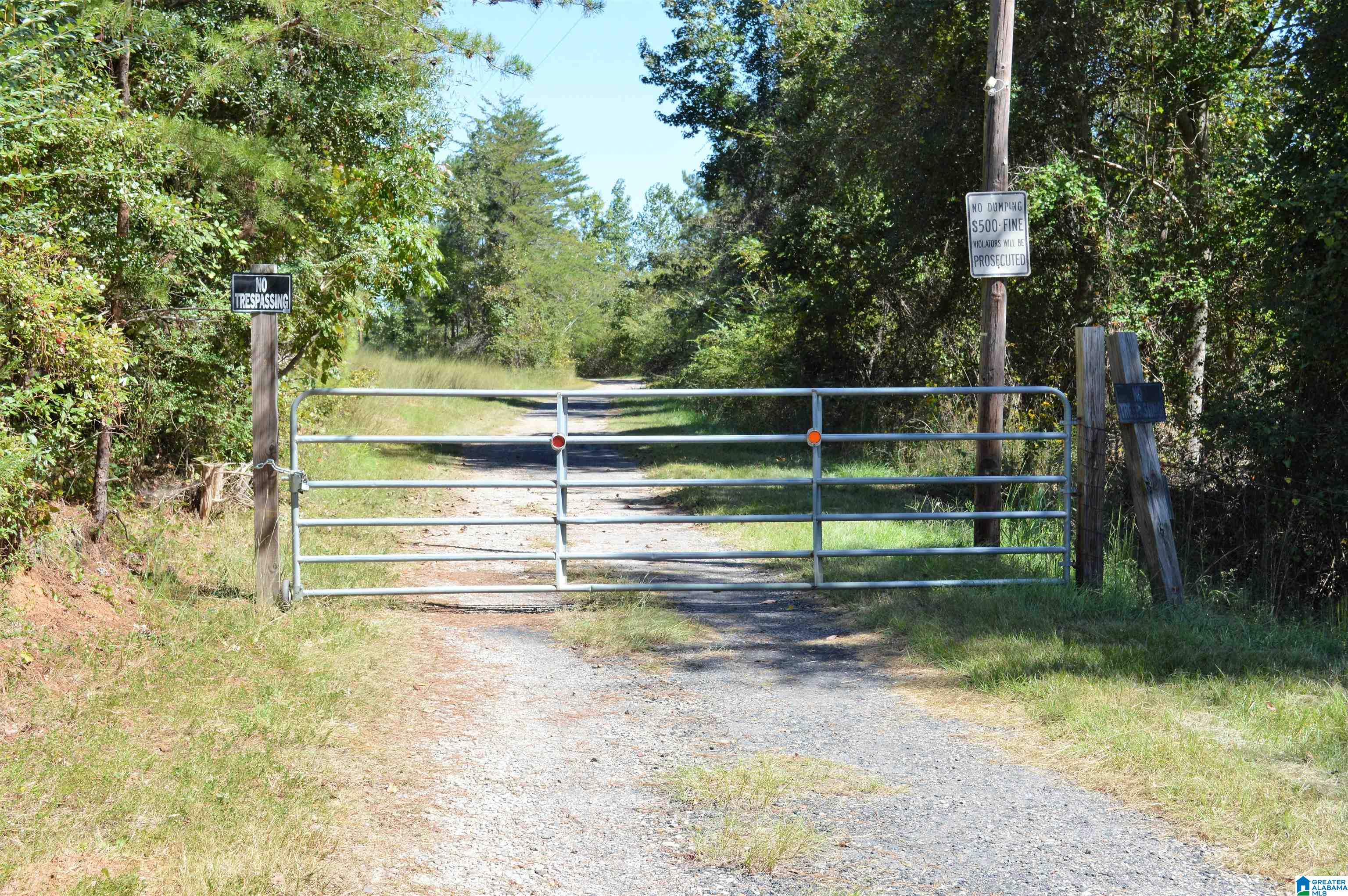 797 Hickory Hill Road West Blocton, AL 35184 - Photo 2 of 18