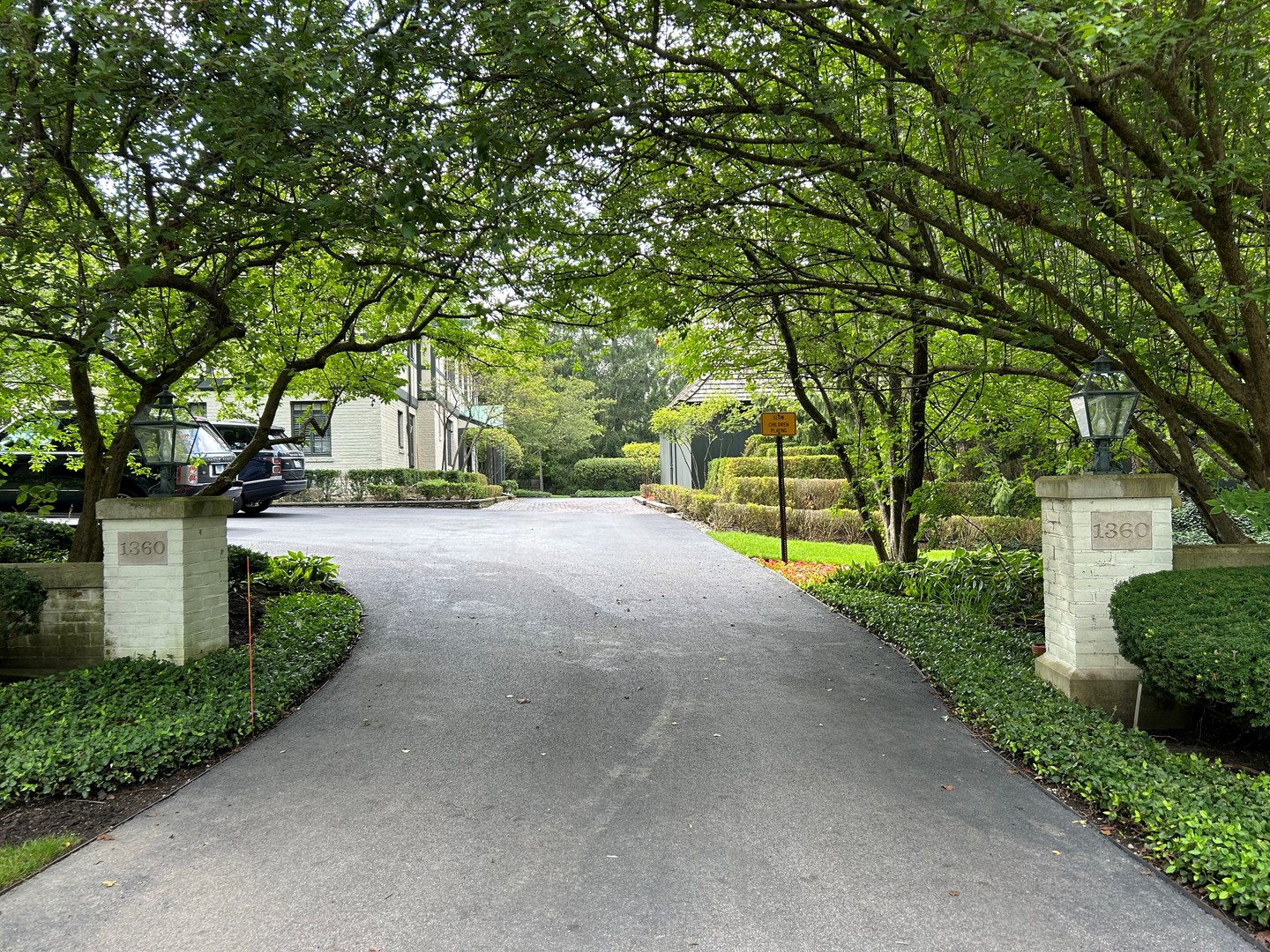 a view of road with large trees