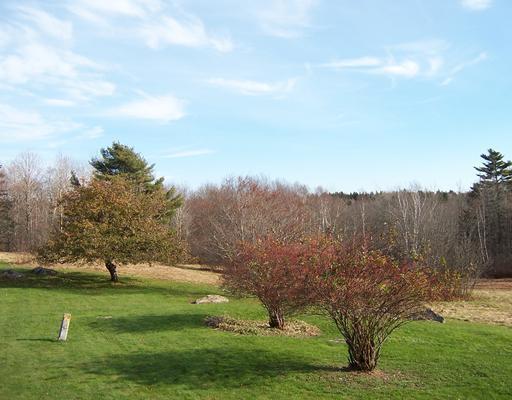 329 Wallston Road Tenants Harbor, ME 04860 - Photo 13 of 25 Yard/Garden.