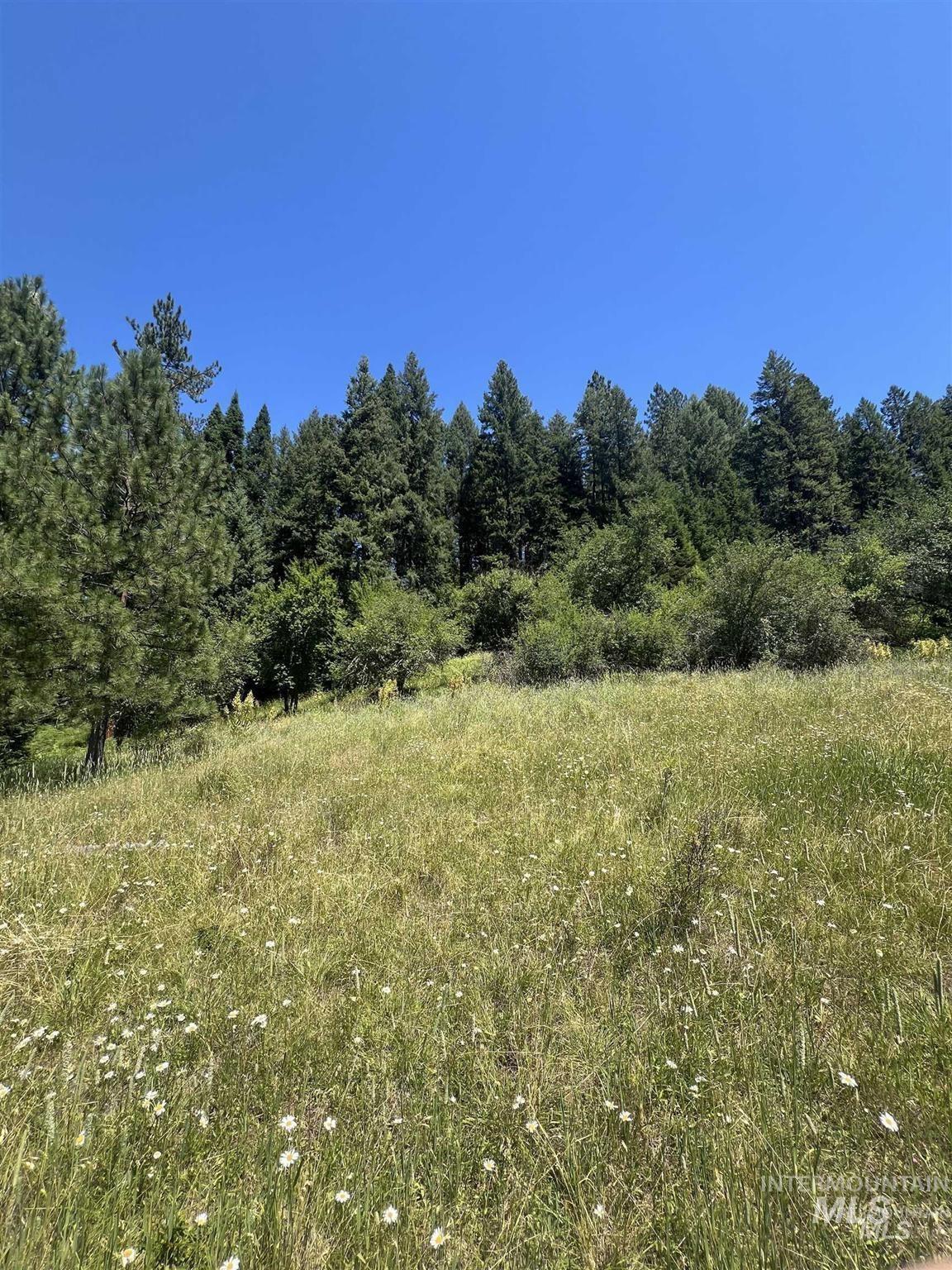 Nka Clearcreek Road Kooskia, ID 83539 - Photo 4 of 25 View of woods