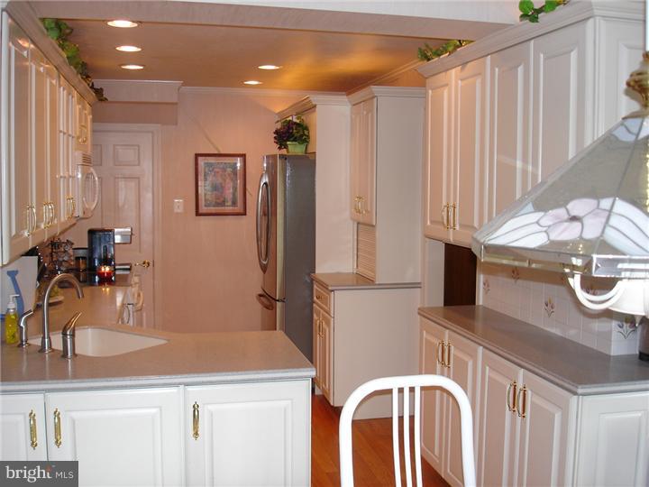 2556 Pine Road Huntingdon Valley, PA 19006 - Photo 8 of 19 Kitchen