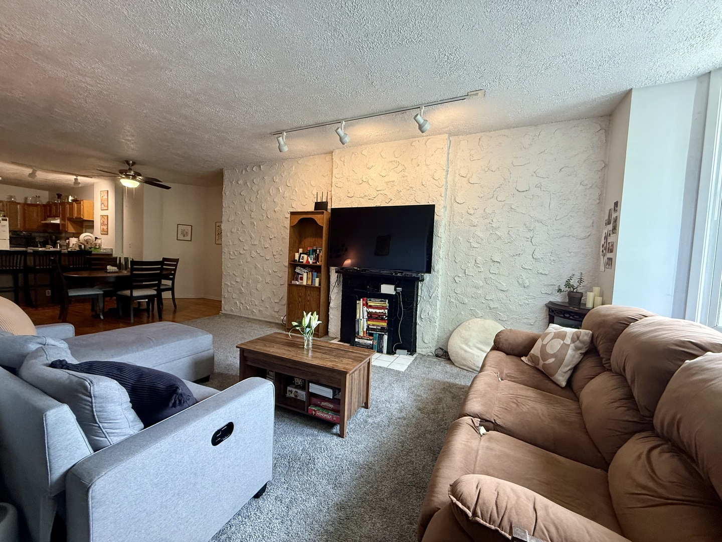1132 West Addison Street, Unit 2 Chicago, IL 60613 - Photo 5 of 11 a living room with furniture and a flat screen tv