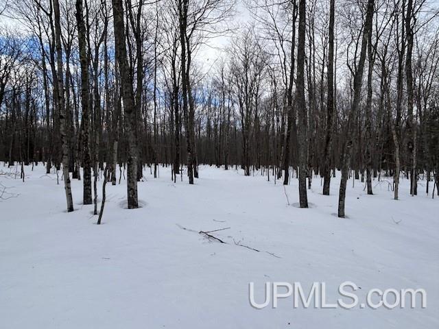 53554 North Superior Road Houghton, MI 49931 - Photo 16 of 41