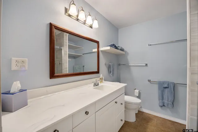 a bathroom with a toilet a sink and mirror