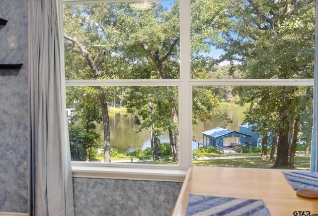a view of a garden from a window