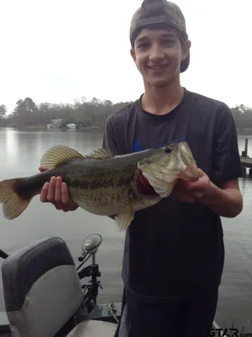 a picture of a couch in a room