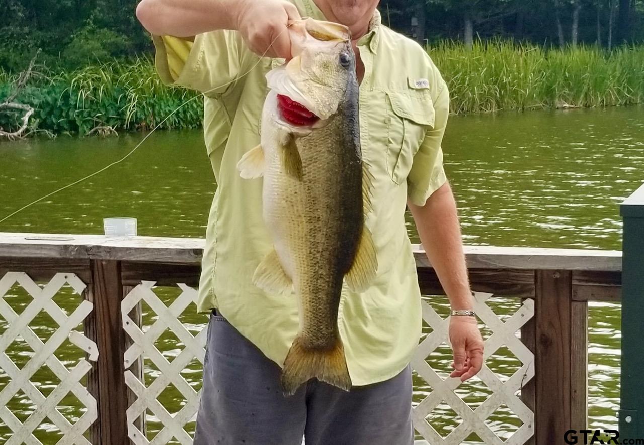 20650 West Grove Club Lake Road Whitehouse, TX 75791 - Photo 39 of 39 a view of swimming pool with a garden