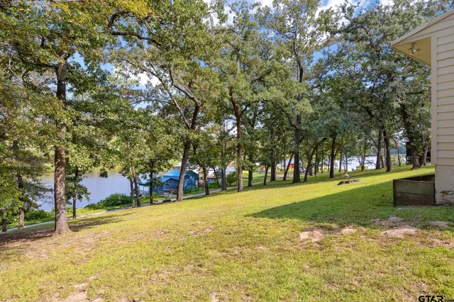 a view of a field with trees in the background