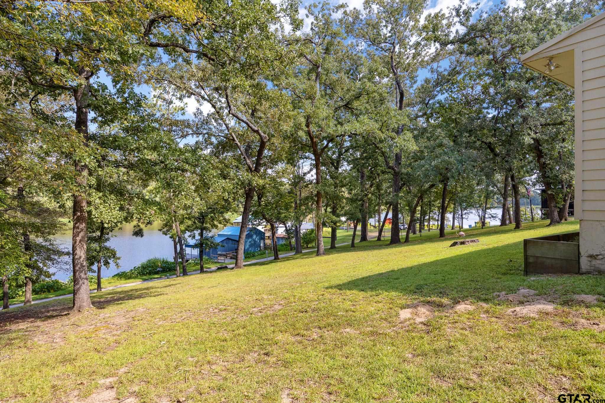 20650 West Grove Club Lake Road Whitehouse, TX 75791 - Photo 5 of 39 a view of a field with trees in the background