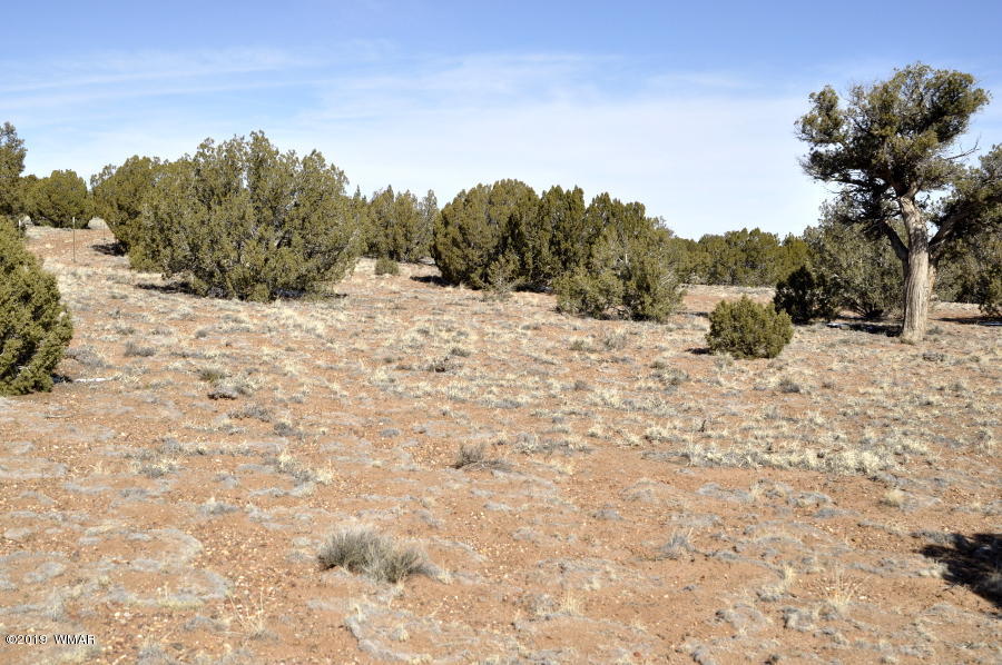 95 Old Hunt Road Concho, AZ 85924 - Photo 11 of 26 Gallery Image 11