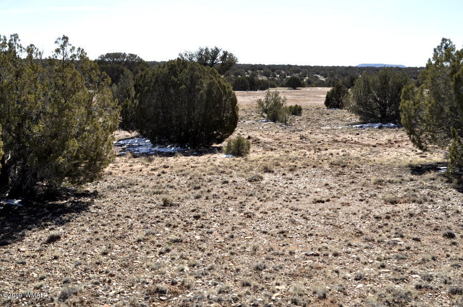 95 Old Hunt Road Concho, AZ 85924 - Photo 12 of 26 Gallery Image 12