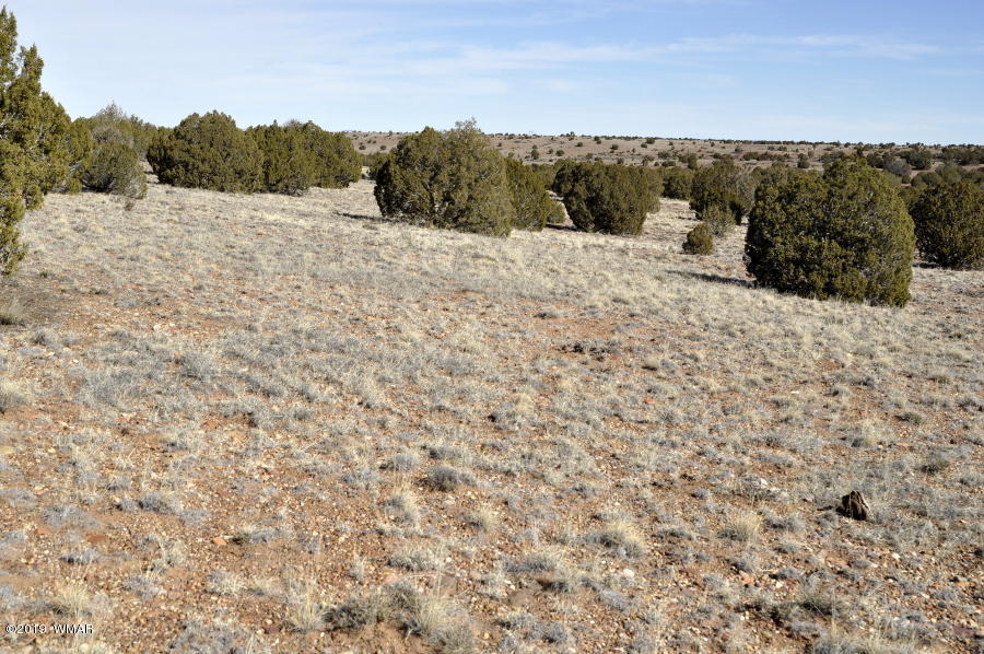 95 Old Hunt Road Concho, AZ 85924 - Photo 13 of 26 Gallery Image 13