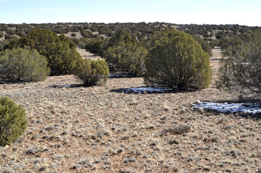 95 Old Hunt Road Concho, AZ 85924 - Photo 14 of 26 Gallery Image 14