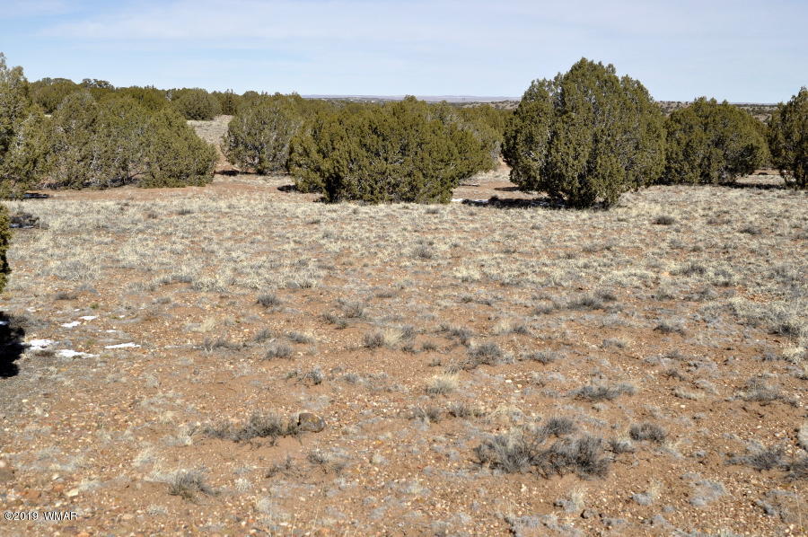 95 Old Hunt Road Concho, AZ 85924 - Photo 15 of 26 Gallery Image 15