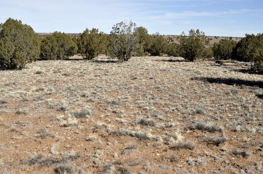 95 Old Hunt Road Concho, AZ 85924 - Photo 16 of 26 Gallery Image 16