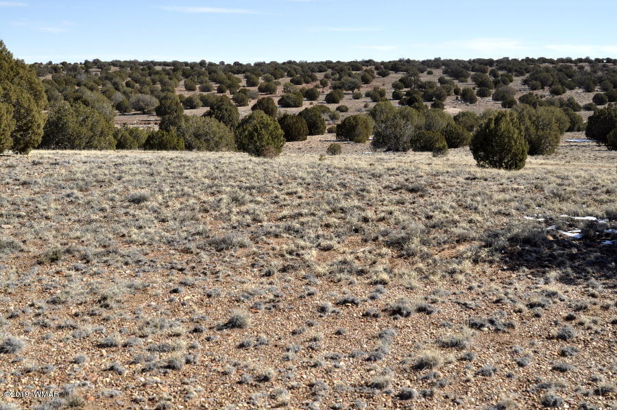 95 Old Hunt Road Concho, AZ 85924 - Photo 17 of 26 Gallery Image 17