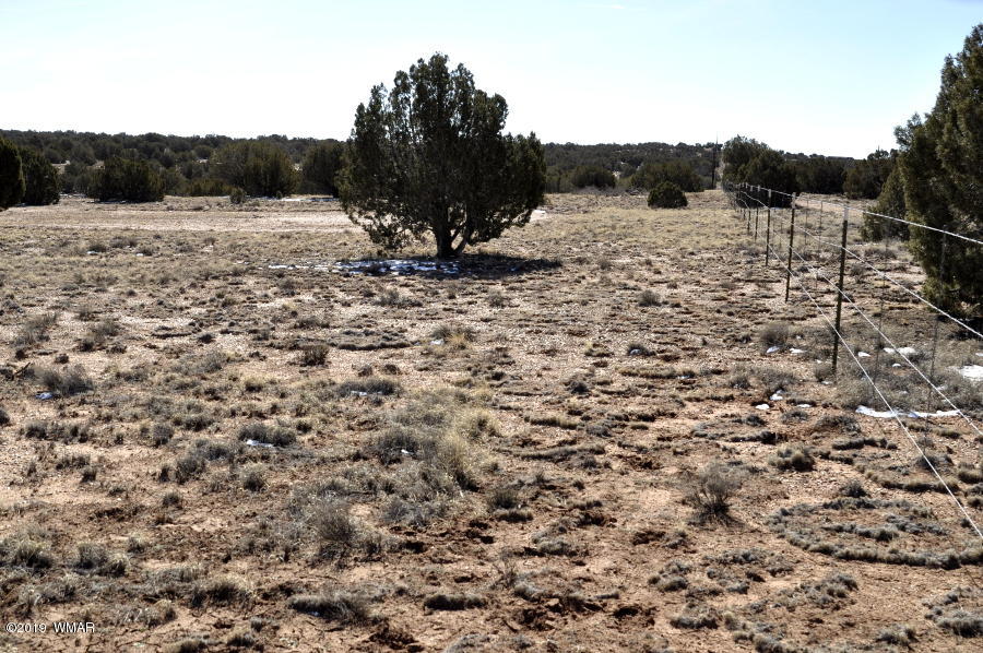 95 Old Hunt Road Concho, AZ 85924 - Photo 9 of 26 Gallery Image 9