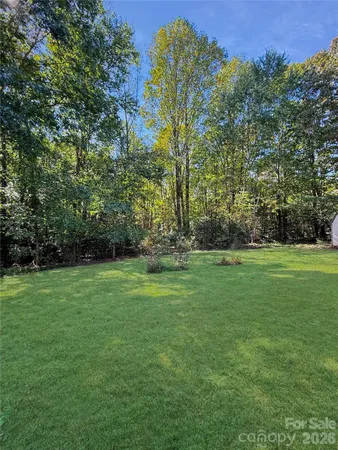 a view of a field of grass and trees