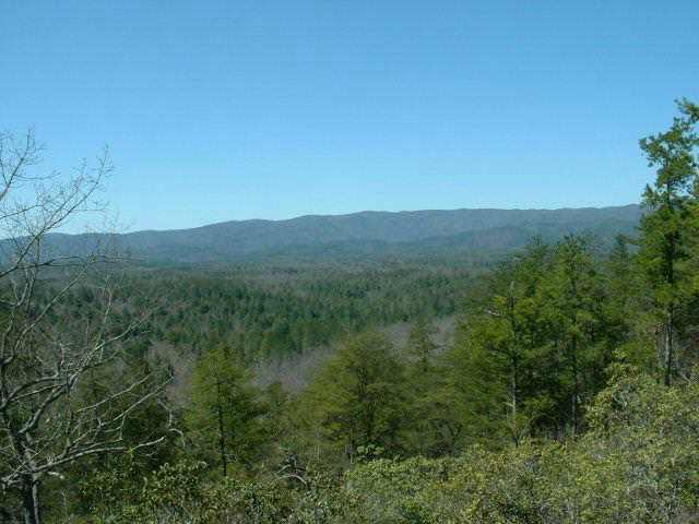 195 Whitewater Road Salem, SC 29676 - Photo 1 of 9 Gallery Image 1