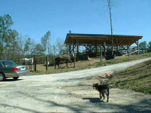 195 Whitewater Road Salem, SC 29676 - Photo 6 of 9 Gallery Image 6
