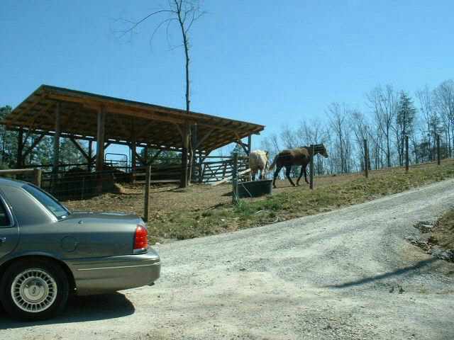 195 Whitewater Road Salem, SC 29676 - Photo 8 of 9 Gallery Image 8