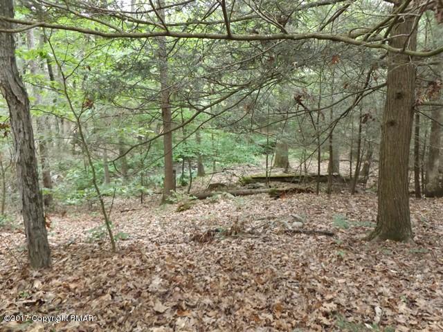 1180 Sugar Mountain Road West Bushkill, PA 18324 - Photo 10 of 10 yard