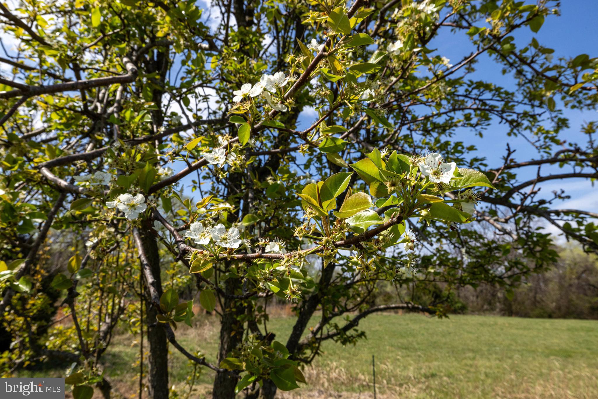 296 Keystone Road Stanley, VA 22851 - Photo 54 of 54