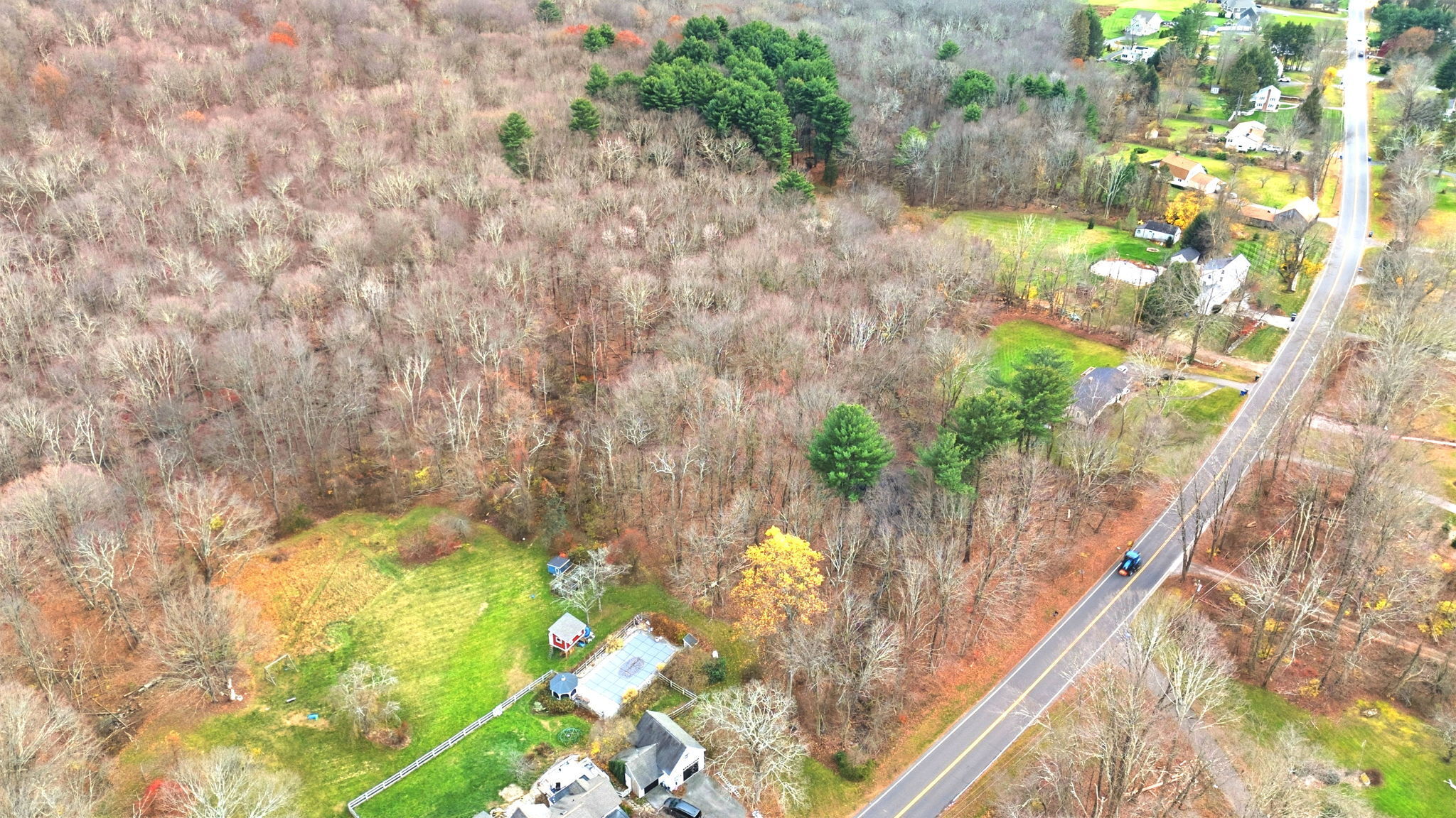 126 Hebron Road Bolton, CT 06043 - Photo 11 of 23 a view of flowers in a yard
