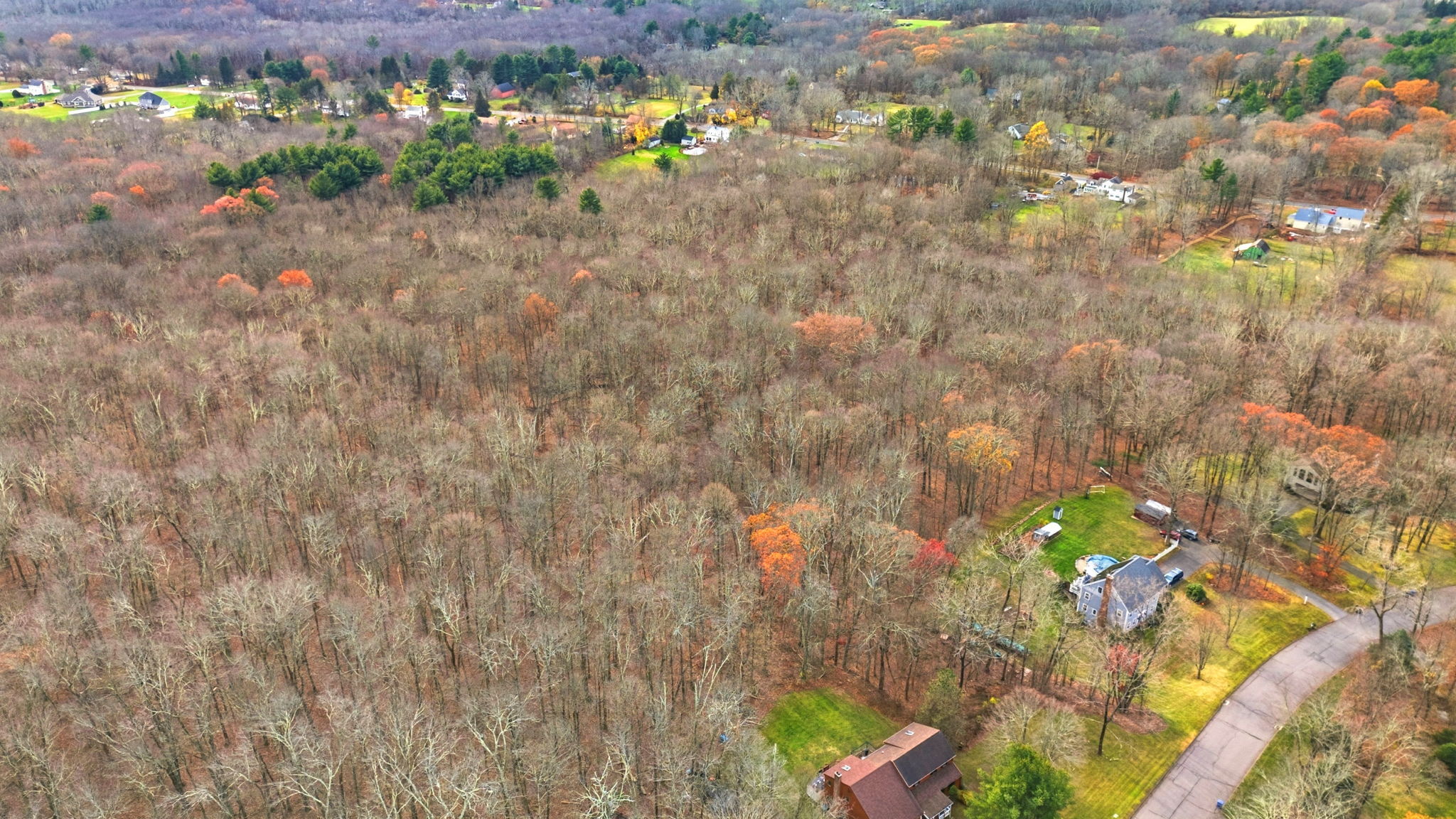 126 Hebron Road Bolton, CT 06043 - Photo 13 of 23 a picture of tree