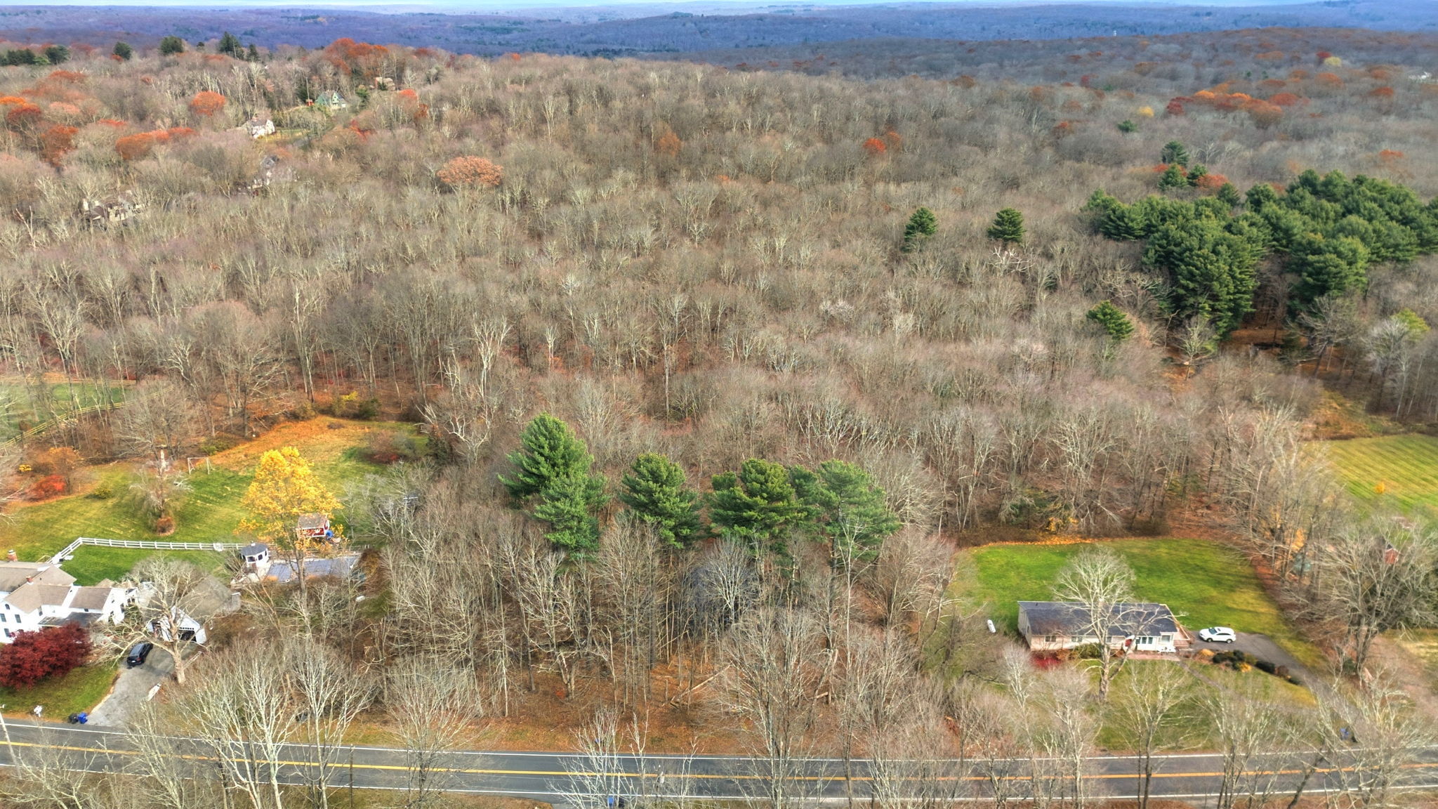 126 Hebron Road Bolton, CT 06043 - Photo 14 of 23 a view of a yard with plants