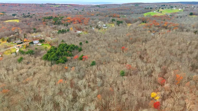 a view of a tree with a yard